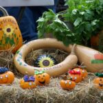 Fall Festival Set For Friday, September 26th In Mansfield