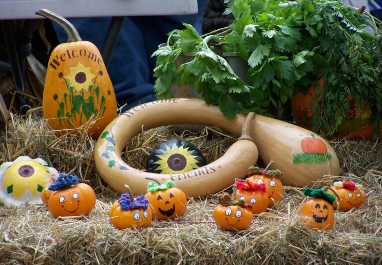 Fall Festival Set For Friday, September 26th In Mansfield