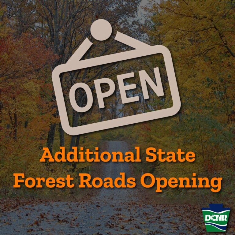 More State Forest Roads Open Across Pennsylvania – Release.