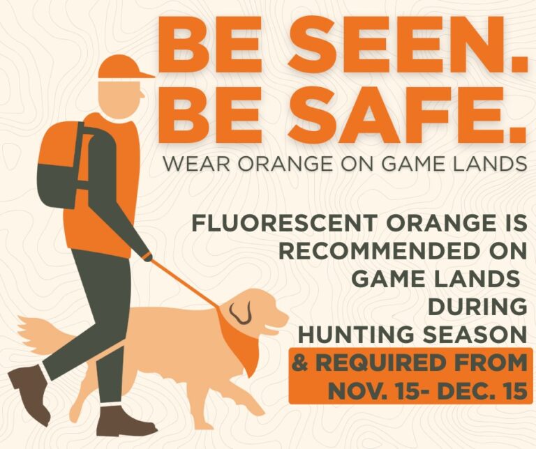 BE SEEN and BE SAFE this Fall