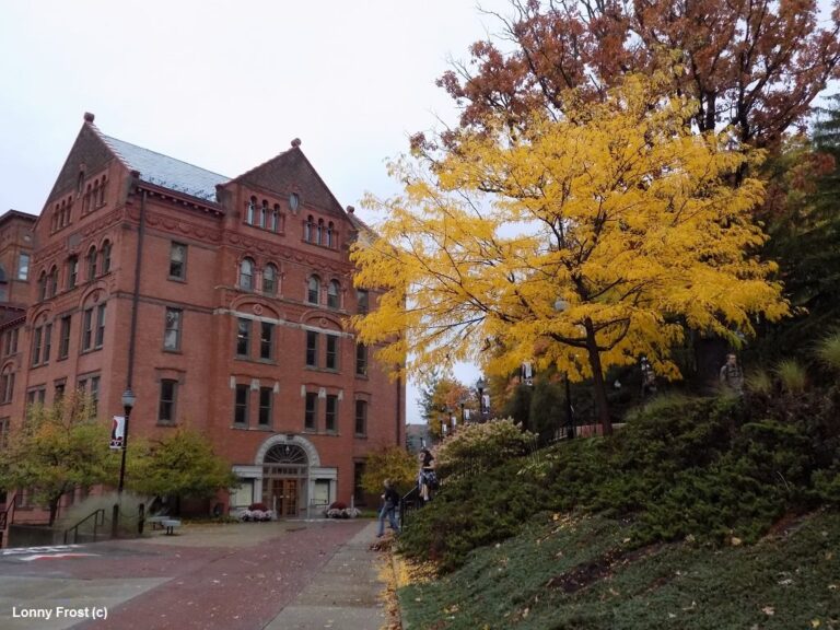 Commonwealth University-Mansfield to Host Open House on Sat., Nov. 15