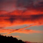 Obituary of Andrew A. Monroe Formerly of Westfield, PA