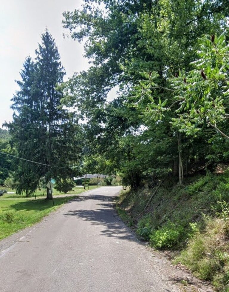 Lines Taken Down & Poles Damaged Along Station Road