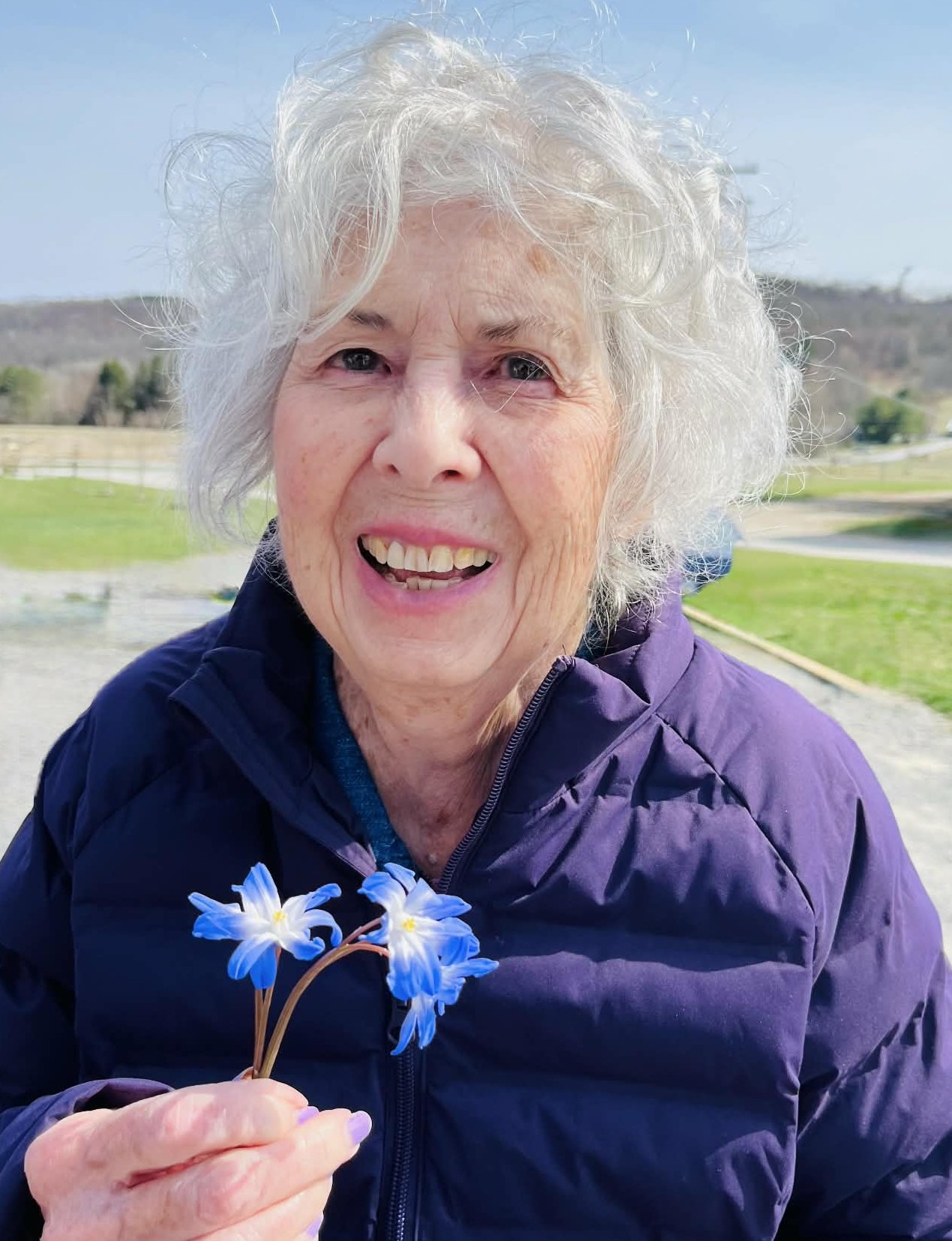 Obituary of Linda Cady Metarko of Wellsboro, PA