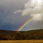 Obituary of Shirley Jean Button of Lawrenceville, PA