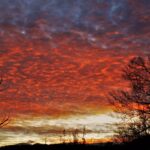 Obituary of William “Bill” “Boney” Rathbun of Mansfield, PA