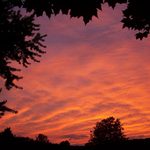 Obituary of Susan Lingeris of Knoxville, PA