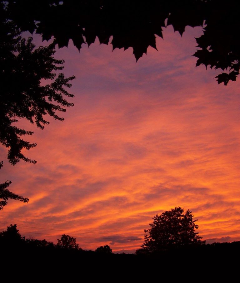 Obituary of Susan Lingeris of Knoxville, PA