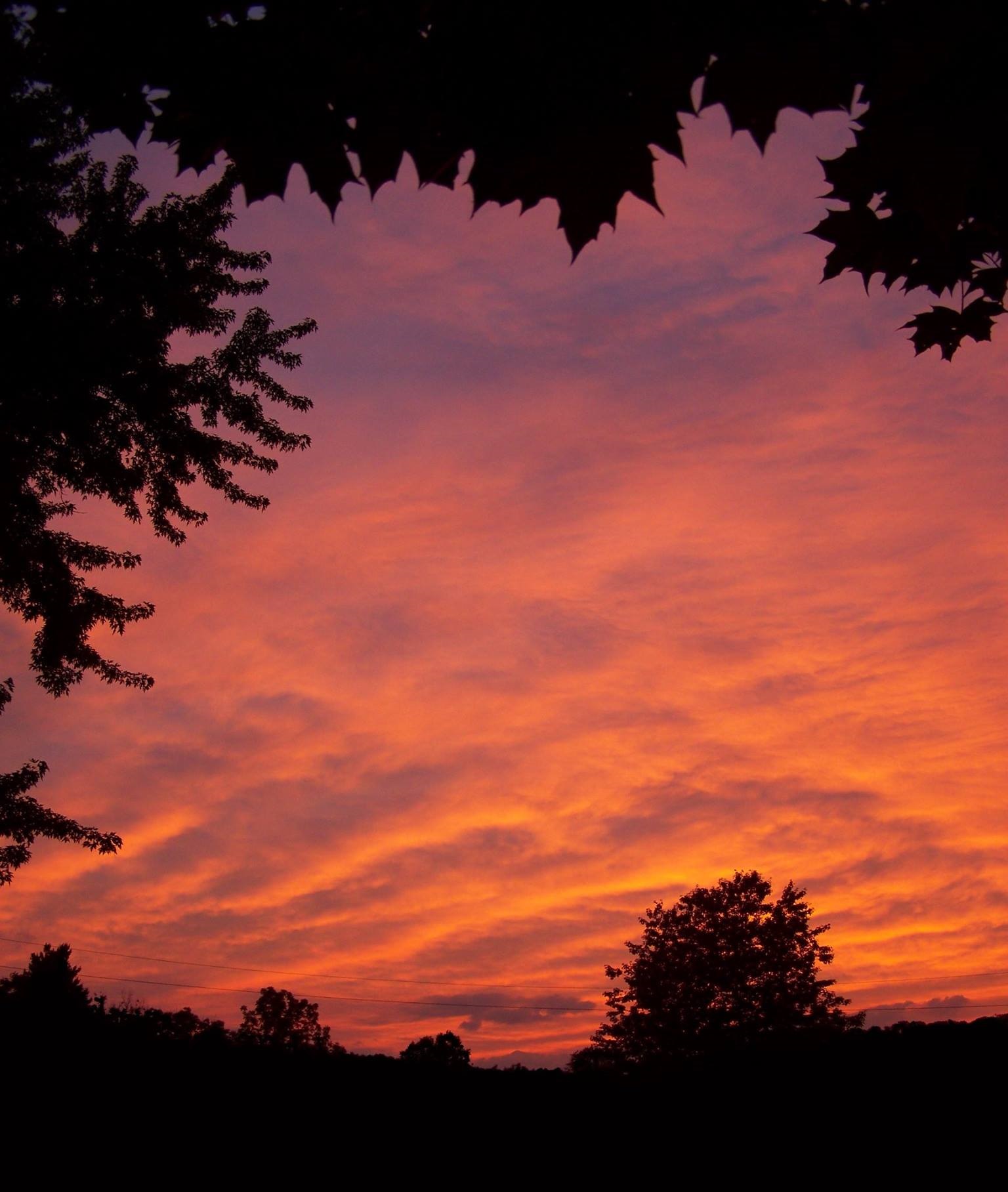Obituary of Susan Lingeris of Knoxville, PA