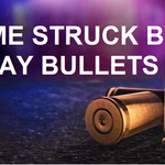 2 Stray Bullets Strike Wellsboro Home
